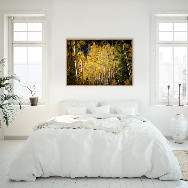 Leafy Wanderings by Adam Mowery | wall art stretched canvas