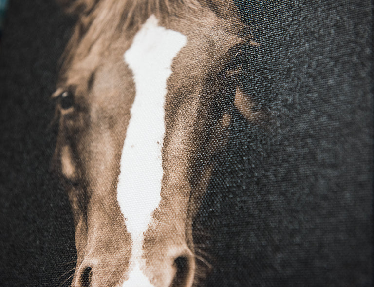 art canvas finish detail