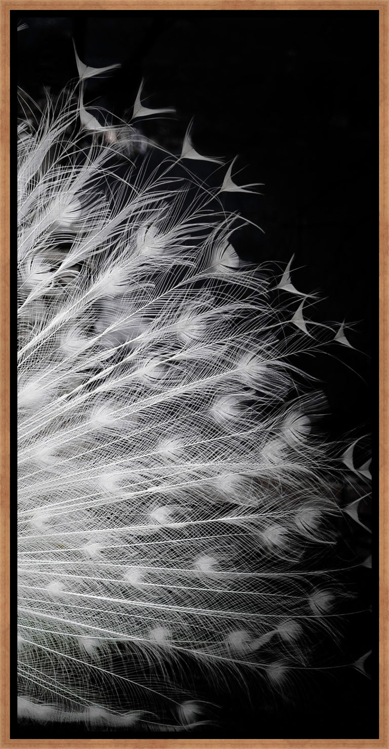 Black and White IV by Pino Liddi | wall art stretched canvas