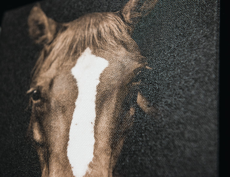 art canvas finish detail