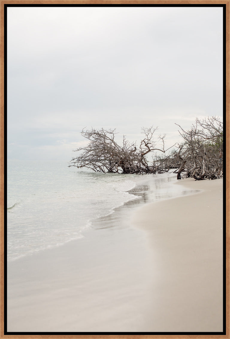 Deserted by Hampton + Dunes | wall art stretched canvas