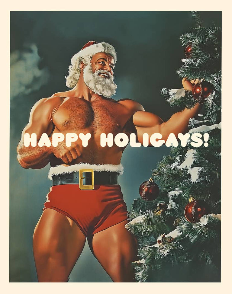 HOLIGAYS! gay, funny christmas card