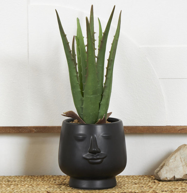 FAUX ALOE IN FACE POT | FLORA