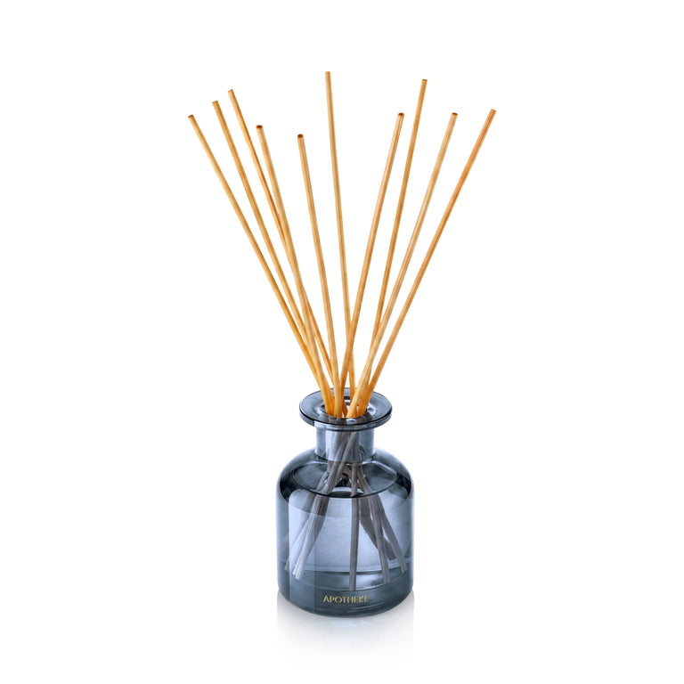 CARDAMOM CHESTNUT MINI DIFFUSER | HOLIDAY HOME FRAGRANCE