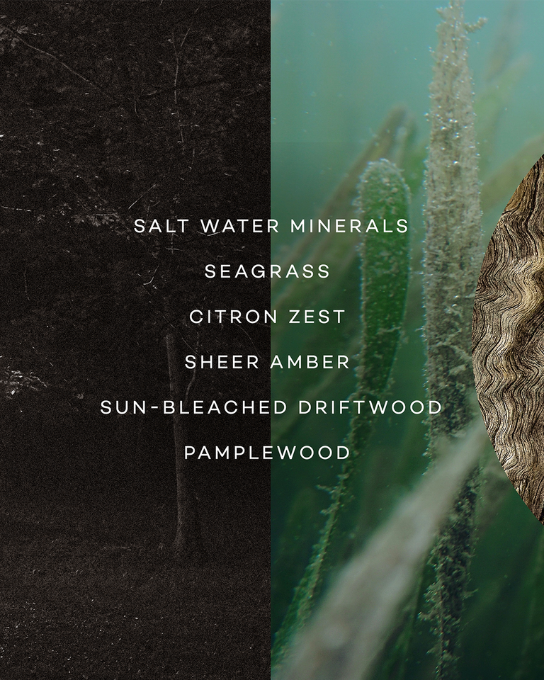 DRIFT — SEAGRASS & SALT WATER