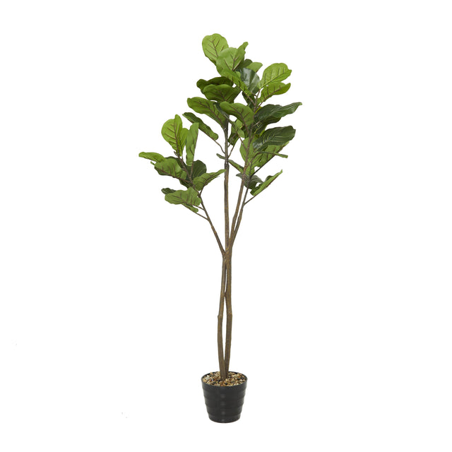 FIDDLE LEAF GREEN FAUX FOLIAGE INDOOR OUTDOOR ARTIFICIAL TREE WITH REALISTIC LEAVES AND BLACK MELAMINE POT | FLORA