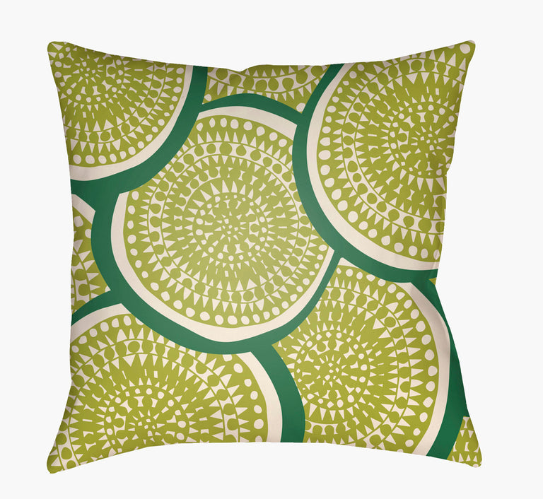 LITCHFIELD | PILLOWS