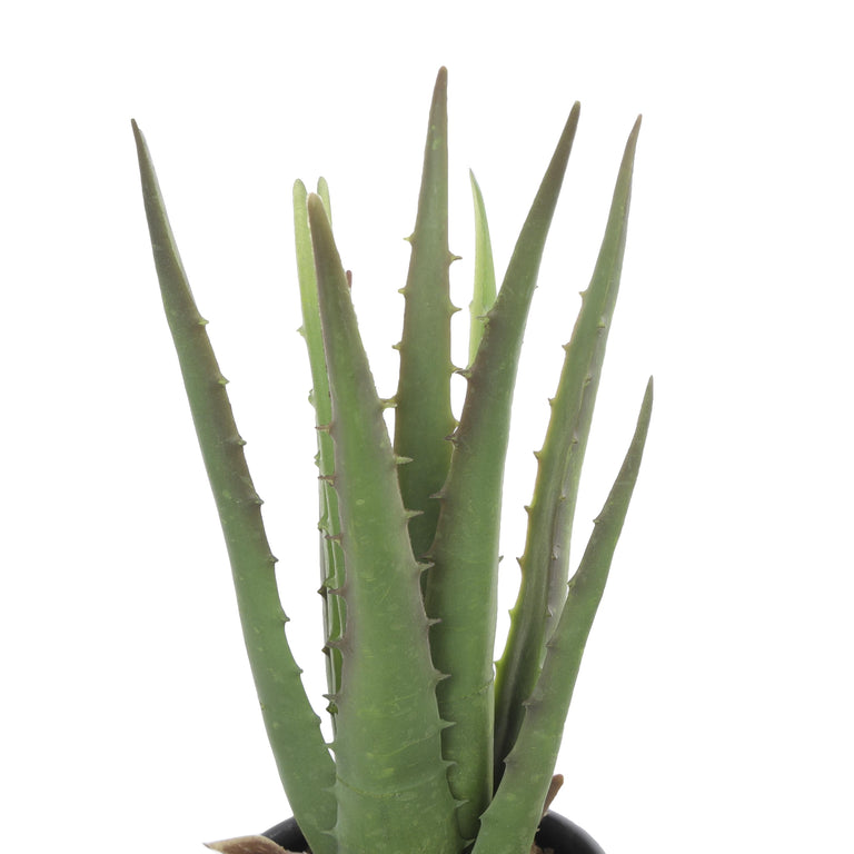 FAUX ALOE IN FACE POT | FLORA