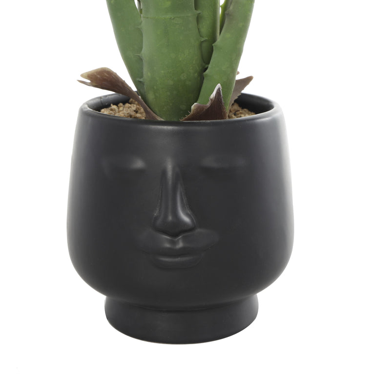 FAUX ALOE IN FACE POT | FLORA