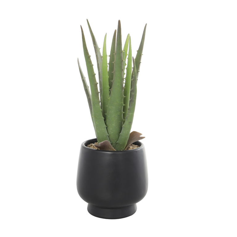 FAUX ALOE IN FACE POT | FLORA