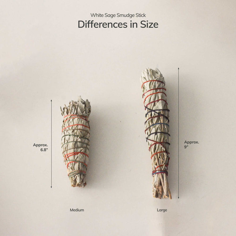 Organic White Sage Smudge Stick - Medium