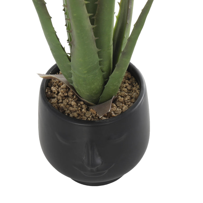 FAUX ALOE IN FACE POT | FLORA