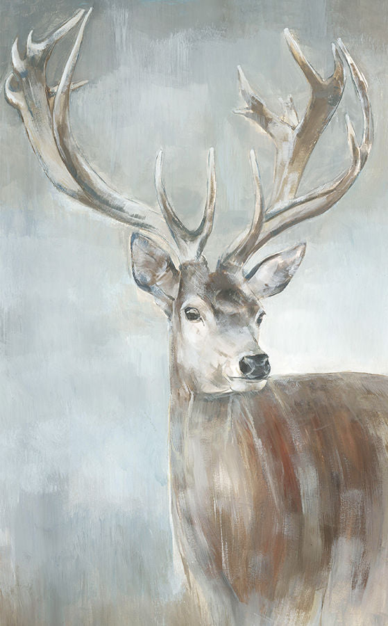 Stag Study II by Jacob Lincoln | stretched canvas wall art