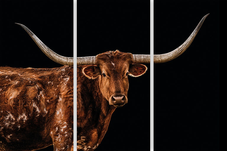 Bigger in Texas Tryptych by Adam Mowery | stretched canvas wall art