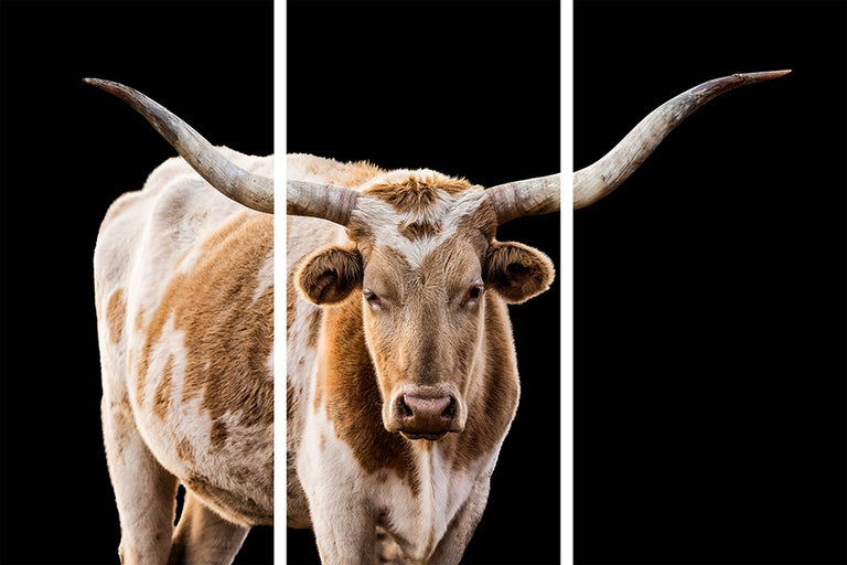 The Texan Tryptych by Adam Mowery | stretched canvas wall art