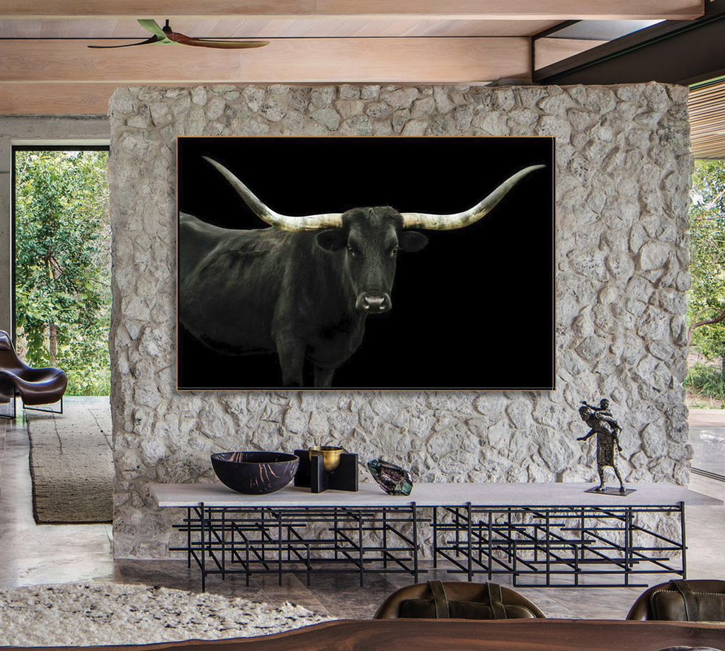 Longhorn 4 by Adam Mowery | stretched canvas wall art | STAG & MANOR