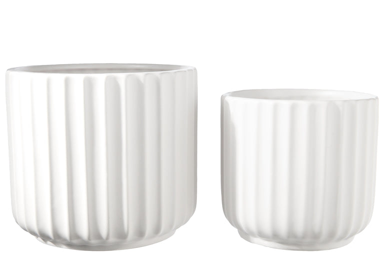 WHITE RIBBED PLANTERS | FLORA