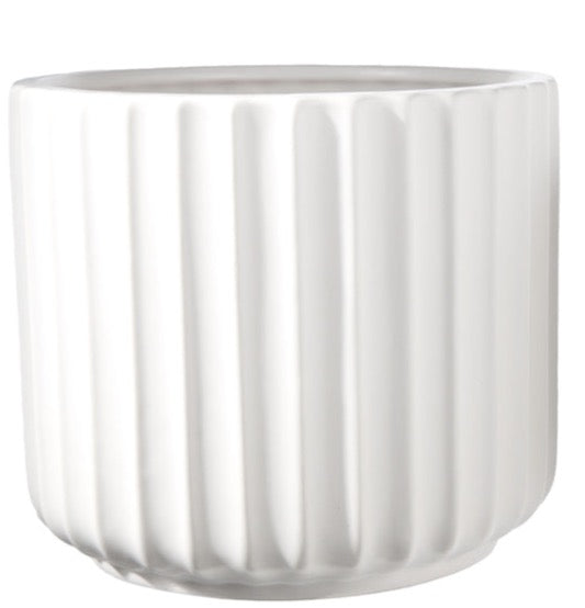 WHITE RIBBED PLANTERS | FLORA
