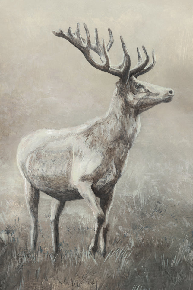 Stag King by Jacob Lincoln | stretched canvas wall art