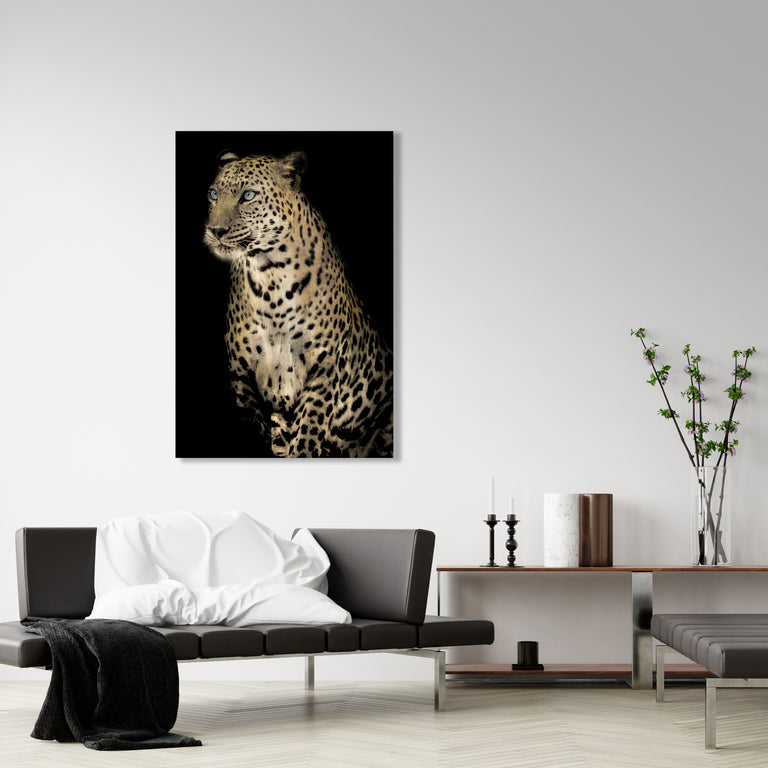Nobility | stretched canvas wall art