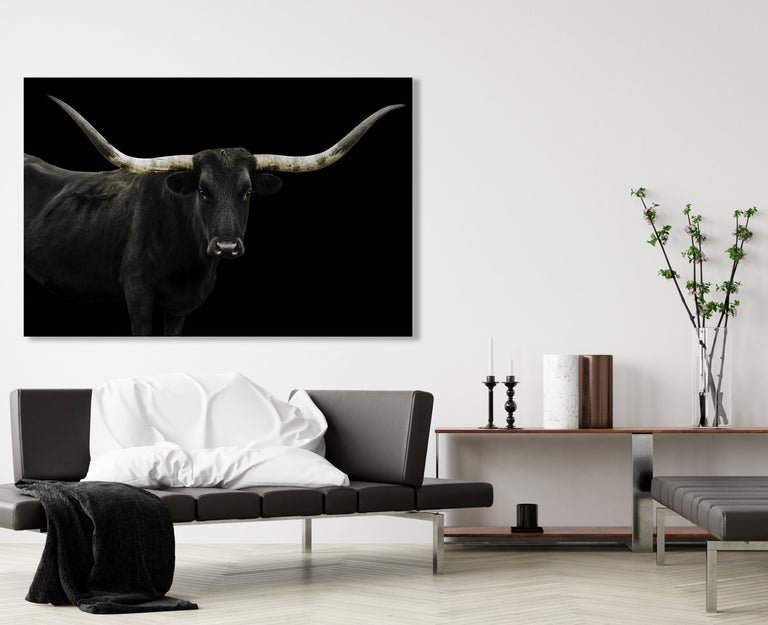 Longhorn 4 by Adam Mowery | stretched canvas wall art