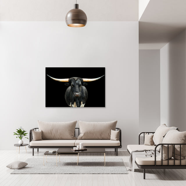 Black and White Longhorn by Adam Mowery | stretched canvas wall art