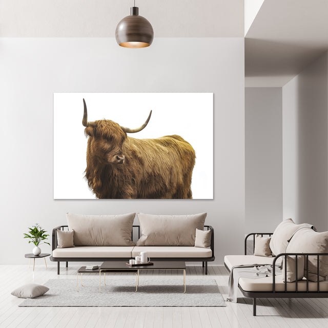 Highland Cattle II by Adam Mowery | stretched canvas wall art
