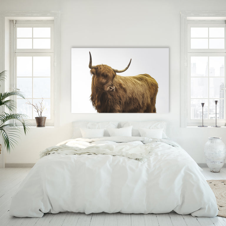 Highland Cattle II by Adam Mowery (Canvas Wall Art)
