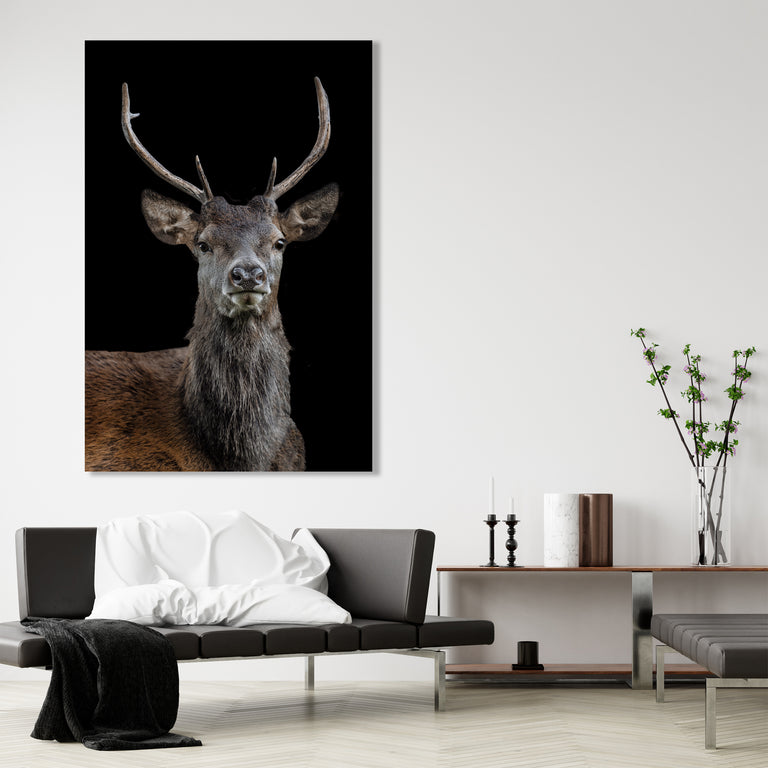 The Scotsman by Adam Mowery | stretched canvas wall art