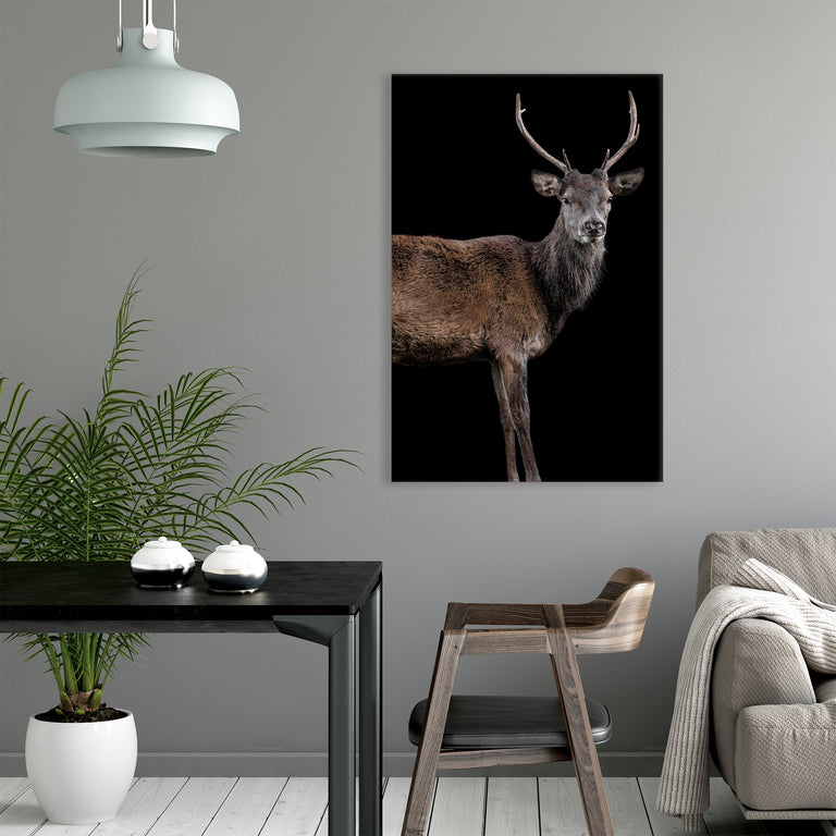 Scotish Red Deer II by Adam Mowery (Canvas Wall Art)