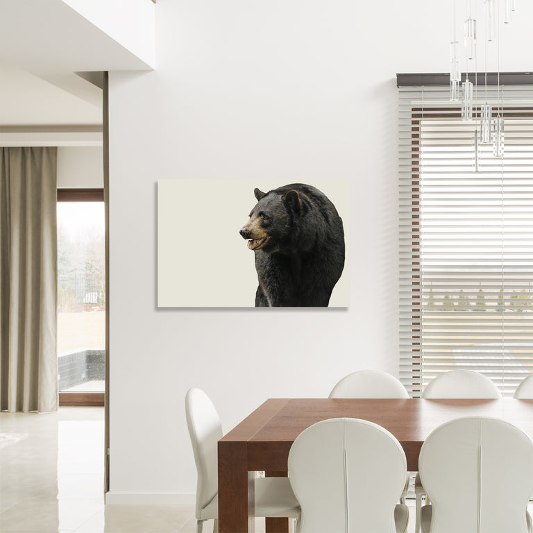 Black Bear II by Adam Mowery (Canvas Wall Art)