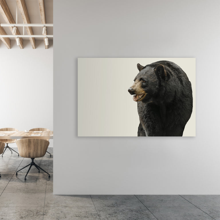 Black Bear II by Adam Mowery (Canvas Wall Art)
