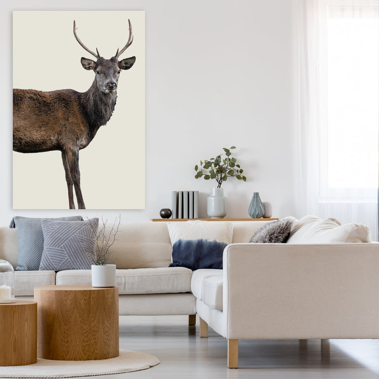 Scotish Red Deer III by Adam Mowery | stretched canvas wall art