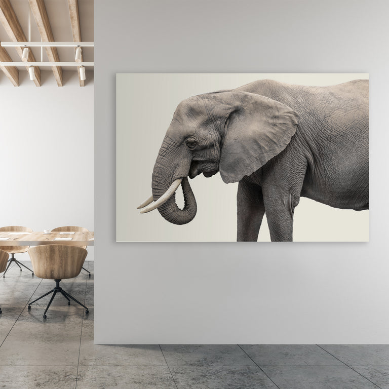 Elephant III by Adam Mowery (Canvas Wall Art)