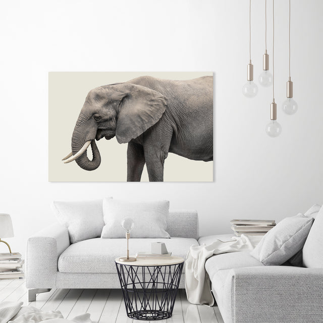 Elephant III by Adam Mowery | stretched canvas wall art