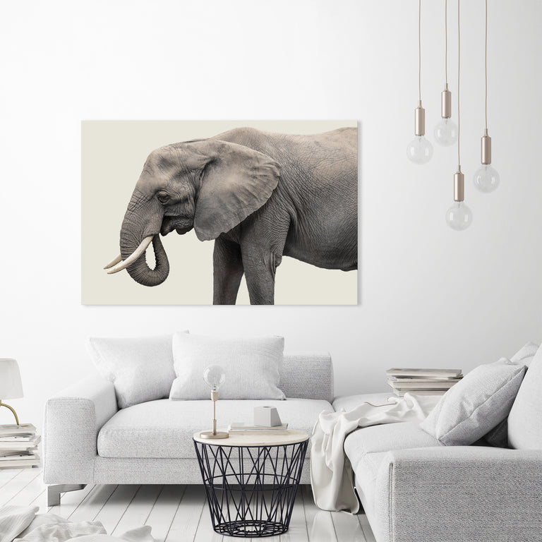 Elephant III by Adam Mowery | stretched canvas wall art