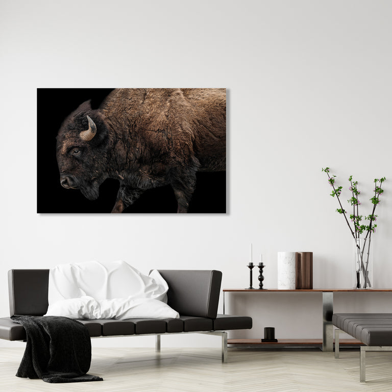 Buffalo on Black I by Adam Mowery | stretched canvas wall art