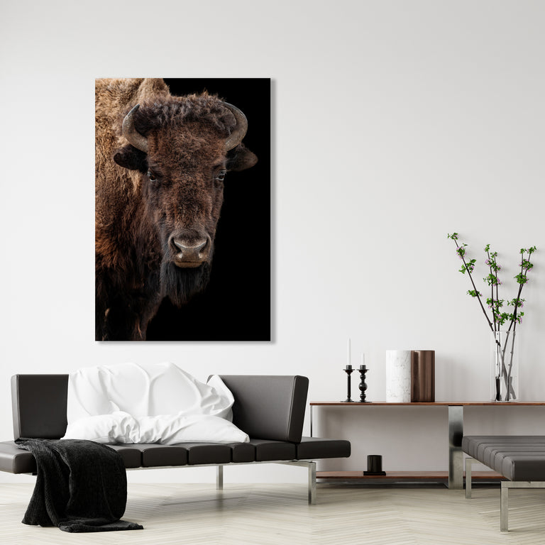 Buffalo on Black III by Adam Mowery | stretched canvas wall art