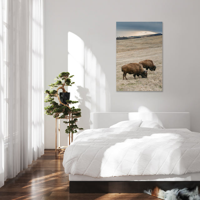 Home on the Range by Adam Mowery | stretched canvas wall art