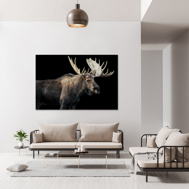 Bull Moose I by Adam Mowery | stretched canvas wall art