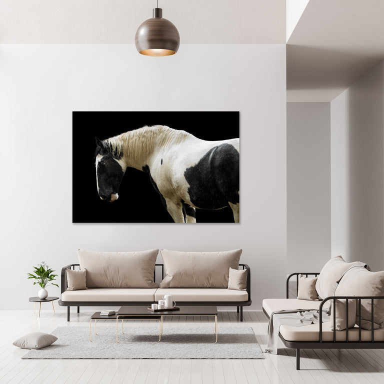 Trusted Steed by Adam Mowery | stretched canvas wall art