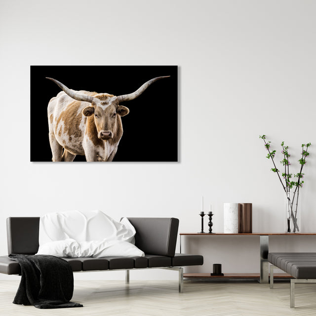 The Texan by Adam Mowery | stretched canvas wall art