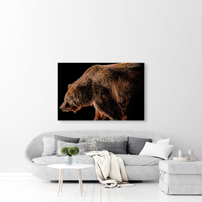 Grizzled 1 by Adam Mowery | stretched canvas wall art