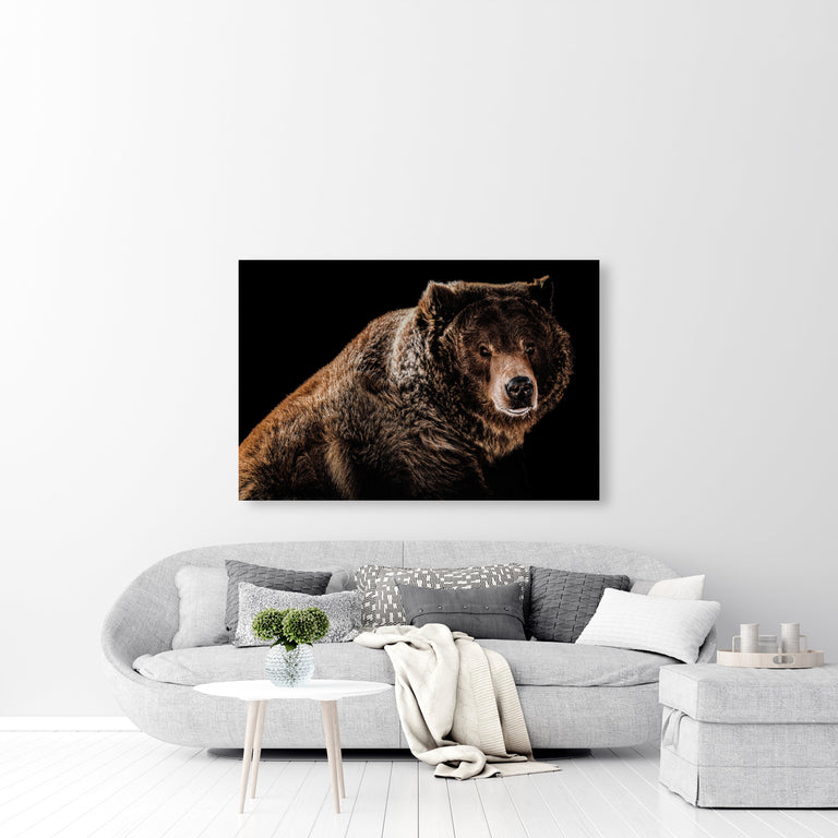 Grizzled 2 by Adam Mowery | stretched canvas wall art