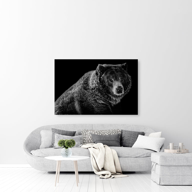 Grizzled 2 B&W by Adam Mowery | stretched canvas wall art