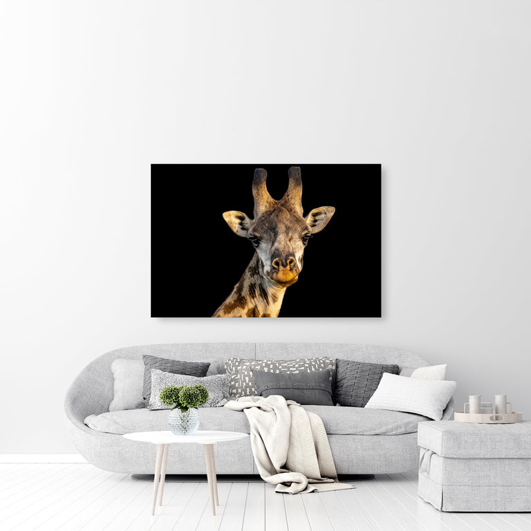 The Giraffe by Adam Mowery | stretched canvas wall art