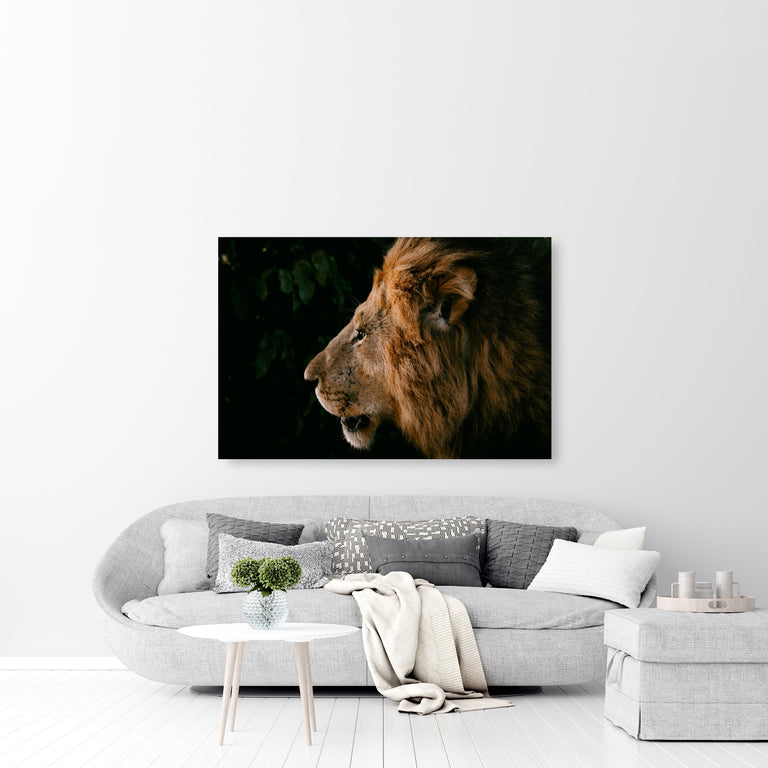 The Lion by Adam Mowery | stretched canvas wall art