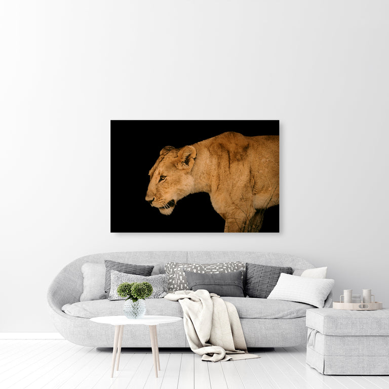 The Wild III by Adam Mowery | stretched canvas wall art