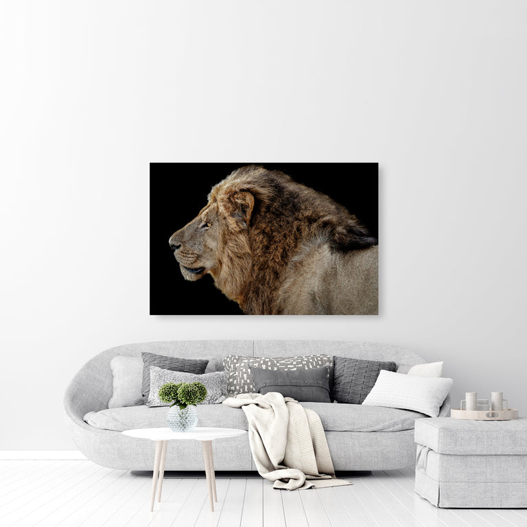 The Wild IV by Adam Mowery | stretched canvas wall art