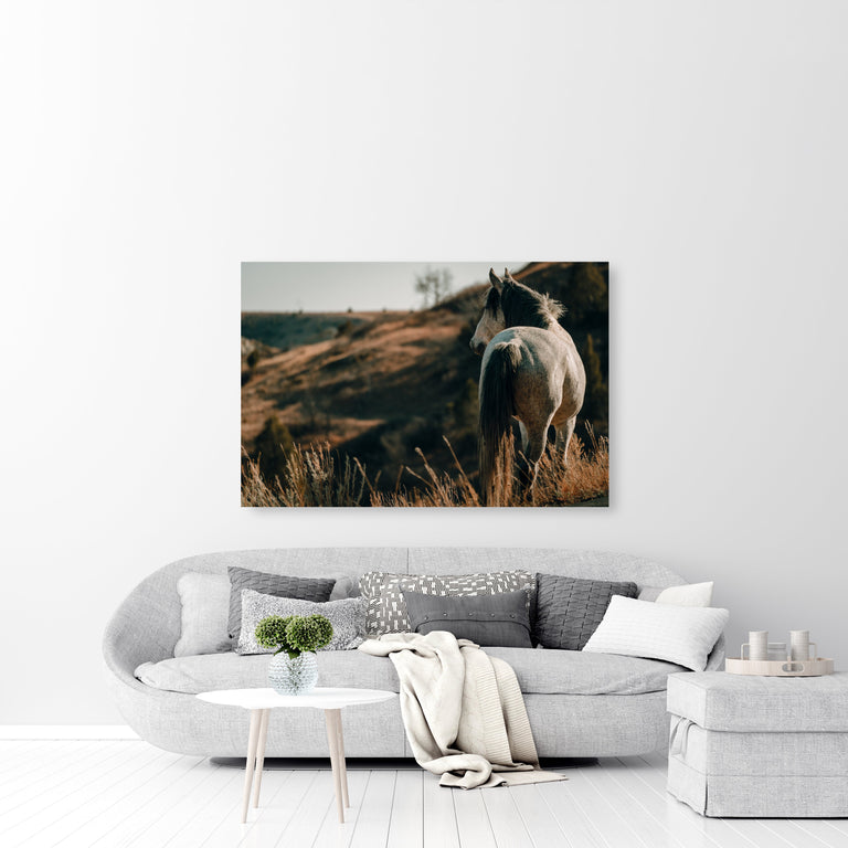 The Horse by Adam Mowery | stretched canvas wall art